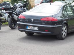 Hahn Auf_Anlassen_2024-P4280009